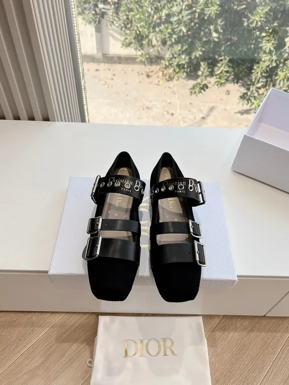 Dior Shoe 